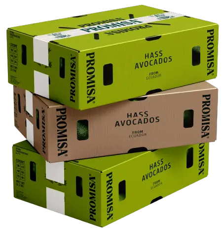 Promisa - Página web - Imágenes_Productos - Cajas