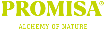 Promisa - Página web - Imágenes_Promisa - Logo - 01